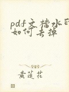 pdf文档水印如何去掉