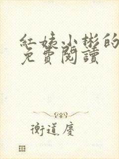 红姨小彬的小说免费阅读