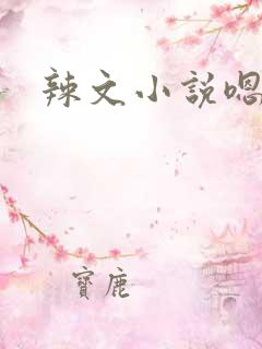 辣文小说嗯啊