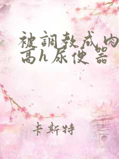 被调教成肉便池高h尿便器