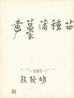 黄菖蒲种苗供应厂家