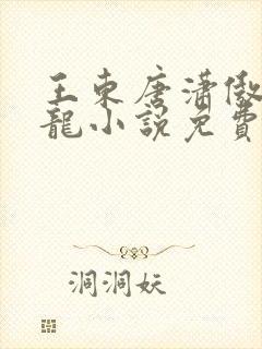 王东唐潇傲世潜龙小说免费阅读