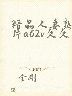 精品人妻熟女毛片a62v久久