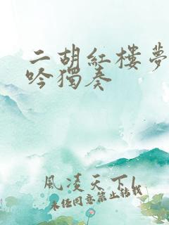 二胡红楼梦葬花吟独奏
