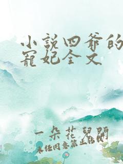小说四爷的心尖宠妃全文