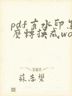 pdf有水印怎么转换成word