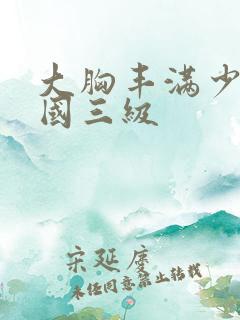 大胸丰满少妇韩国三级