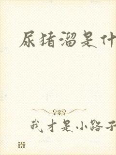 尿猪溜是什么病