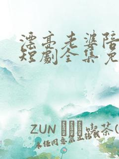 漂亮老婆陪过年短剧全集免费观看