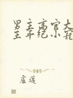 男主高官大叔女主年纪小宠文