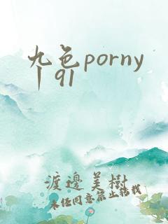 九色porny丨91