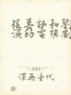张嘉译和刘敏涛演的电视剧叫什么名字