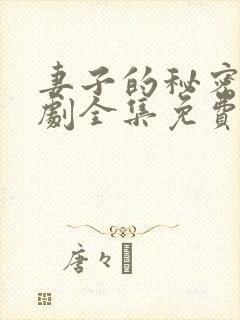 妻子的秘密电视剧全集免费