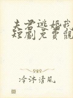 夫君逃婚我改嫁短剧免费观看