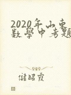 2020年山东数学中考题及其答案