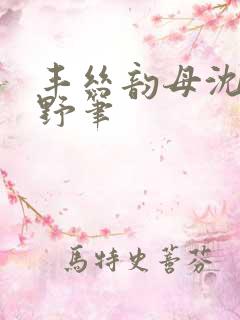 丰丝韵母沈蓉书野笔