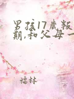 男孩17岁叛逆期,和父母一言不合就吵架