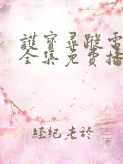 护宝寻踪电视剧全集免费播放