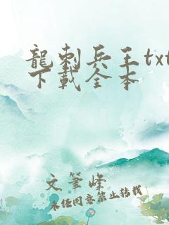龙刺兵王txt下载全本