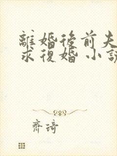 离婚后前夫哭着求复婚 小说