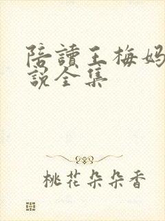 陪读王梅妈妈小说全集