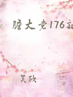 胆大党176话