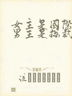 女主是国际刑警男主是总裁