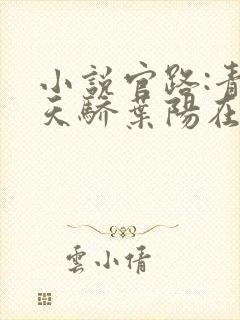 小说官路:青云天骄叶阳在线阅读
