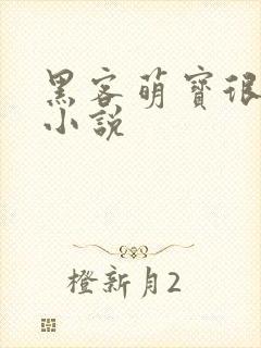 黑客萌宝很坑爹小说