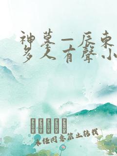 神墓—辰东免费多人有声小说
