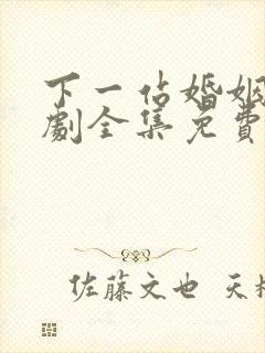 下一站婚姻电视剧全集免费观看播放