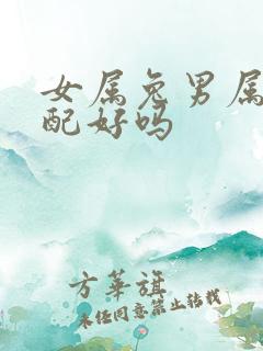 女属兔男属蛇婚配好吗
