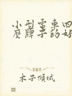 小型电车四轮什么牌子的好