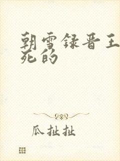 朝雪录晋王怎么死的