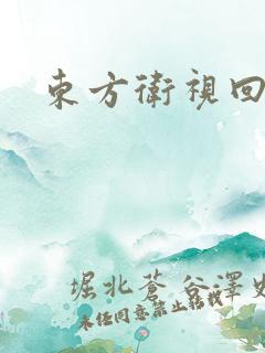 东方卫视回看