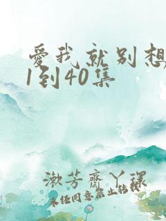 爱我就别想太多1到40集
