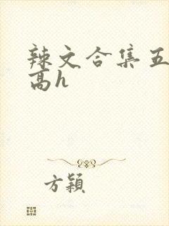 辣文合集五百篇高h