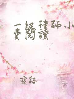 一级律师小说免费阅读