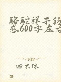 骆驼祥子的读后感600字左右初一
