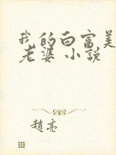 我的白富美总裁老婆 小说