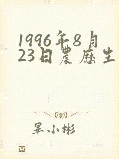 1996年8月23日农历生辰八字