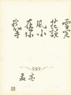 我在风花雪月里等你小说完整免费
