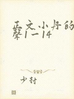 正文小丹的呻吟声1一14