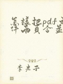 怎样把pdf文件两页合并成一页
