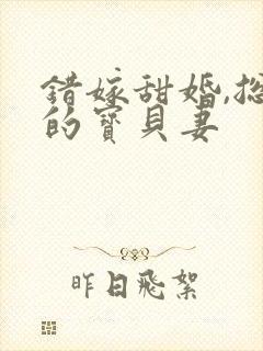 错嫁甜婚,总裁的宝贝妻
