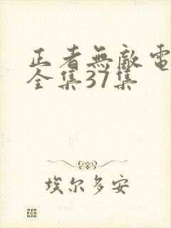 正者无敌电视剧全集37集