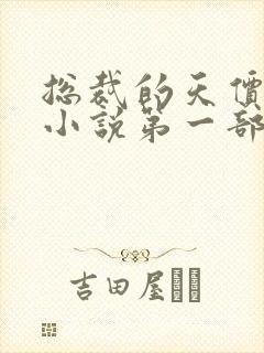 总裁的天价前妻小说第一部