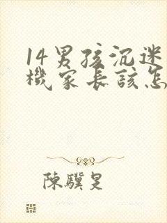 14男孩沉迷手机家长该怎样引导