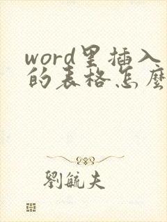 word里插入的表格怎么居中