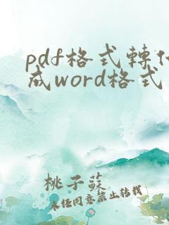 pdf格式转化成word格式